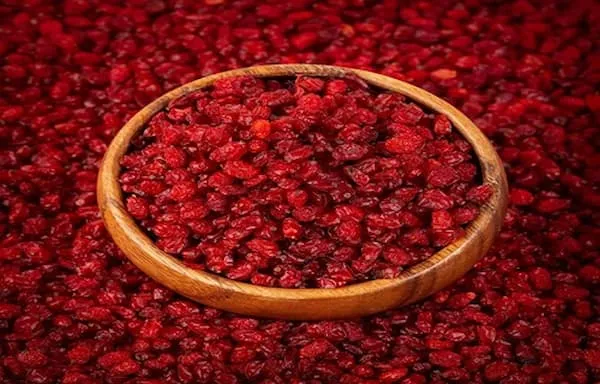 قیمت زرشک زیر تالاری + مشخصات بسته بندی عمده و ارزان