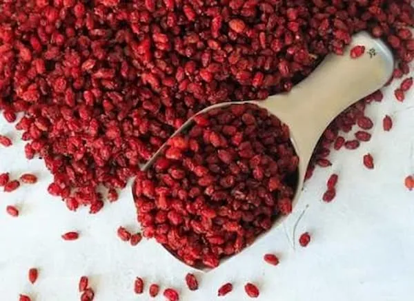 قیمت زرشک زیر تالاری + مشخصات بسته بندی عمده و ارزان